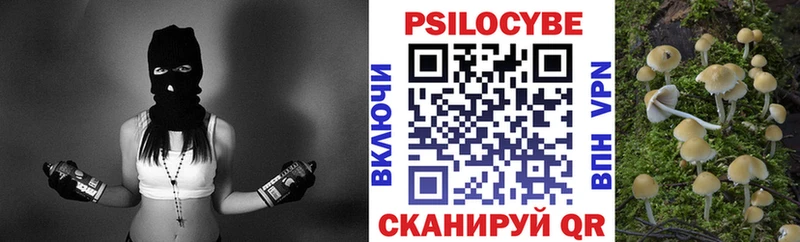 Псилоцибиновые грибы Magic Shrooms  даркнет как зайти  Уссурийск 